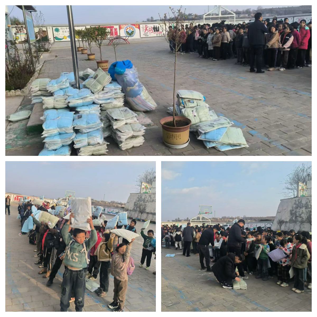 /index.php?c=show&id=81